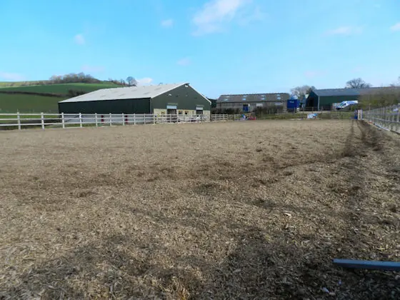 Arena and barns