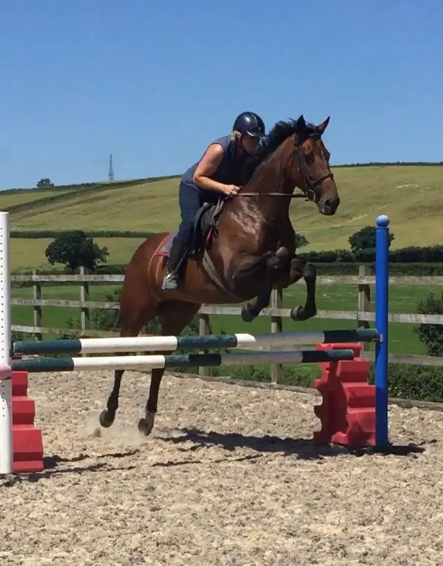 Horse jumping in the arena at Maes Knoll Farm